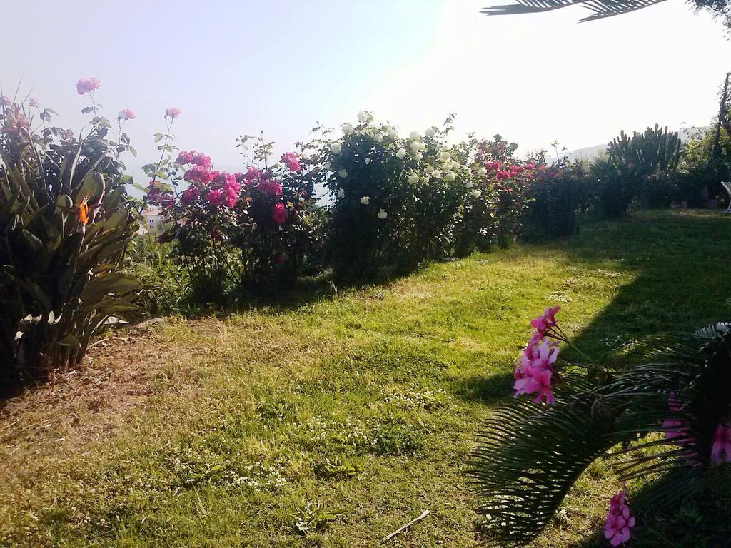 Villa Fontana Tropea Εξωτερικό φωτογραφία